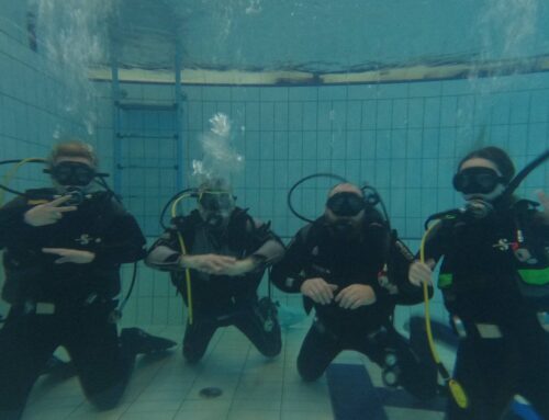 Nova generacija ronilaca: Započela obuka prema vrhunskim CMAS standardima